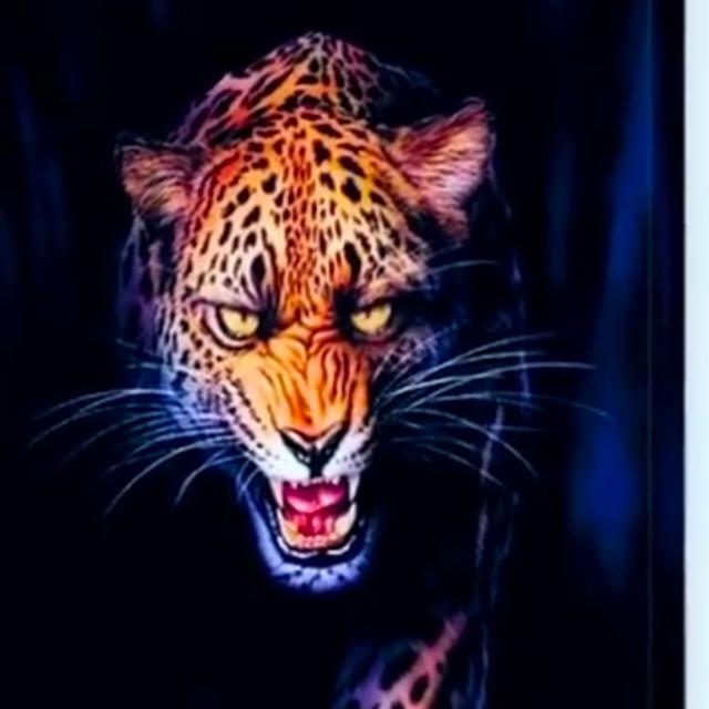 Royal ?Tiger ?Boys ?