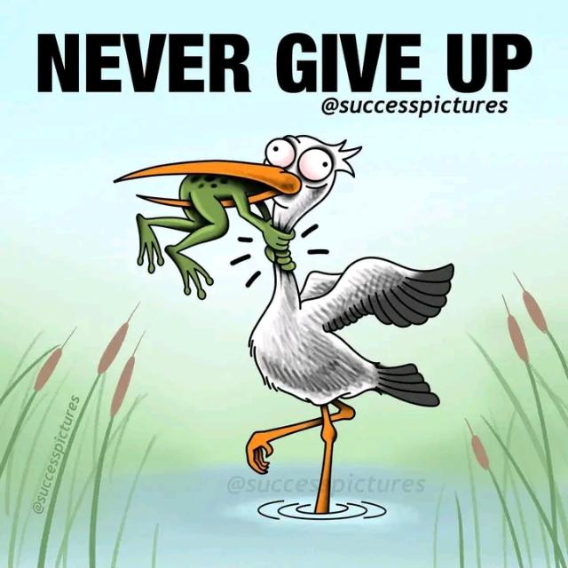 Road To Success ?