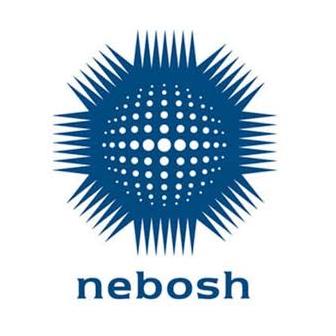 NEBOSH IG1 IG2 IDip past papers solution Whatsapp group