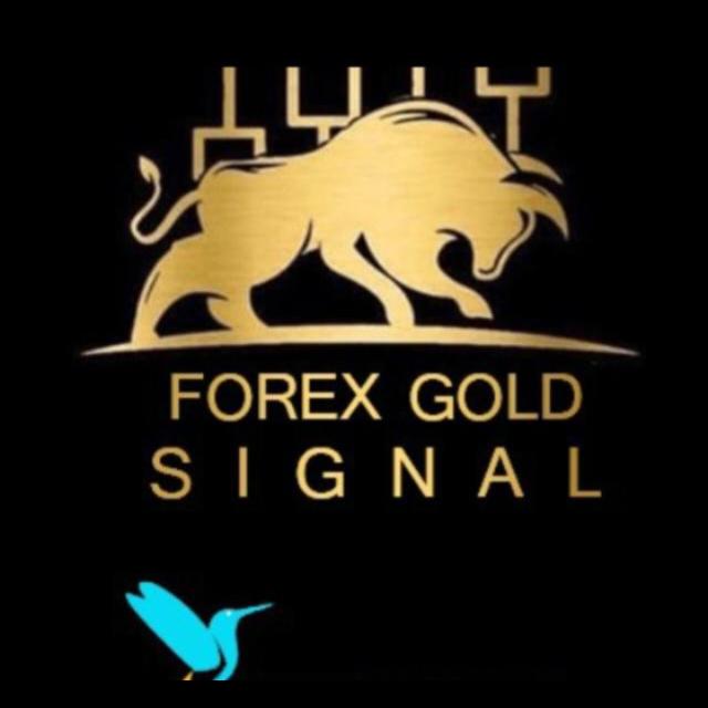 XAUUSD CONFIRM SIGNAL