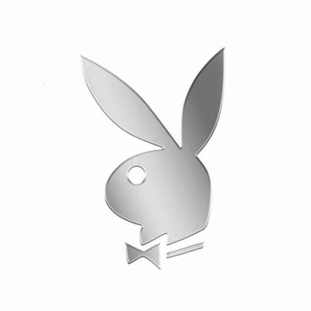 Play Boy job group 