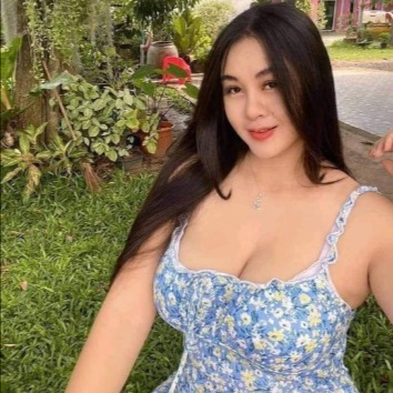 KUPU KUPU MALAM