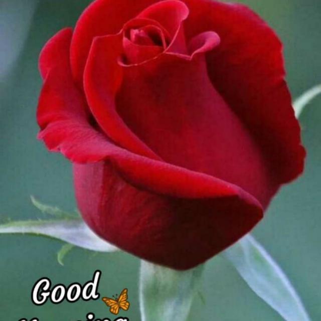 Seth g Whatsapp group