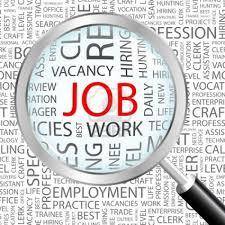 ✍JoB Vacancy Open✍