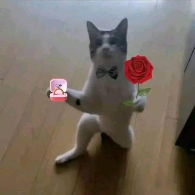 $?pissu    kollo    kello?$