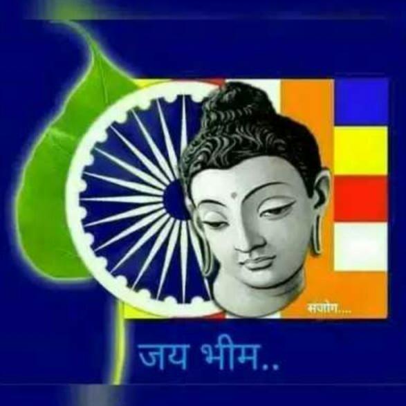 BHIM TIGER GROUP DAPOLI