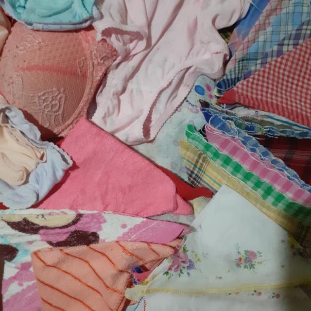 ඇන්ට්ගේ ලේන්සු Hanky?ජංගි