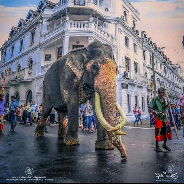 ??කෙල්ලො කොල්ලො❤️❤️‍?
