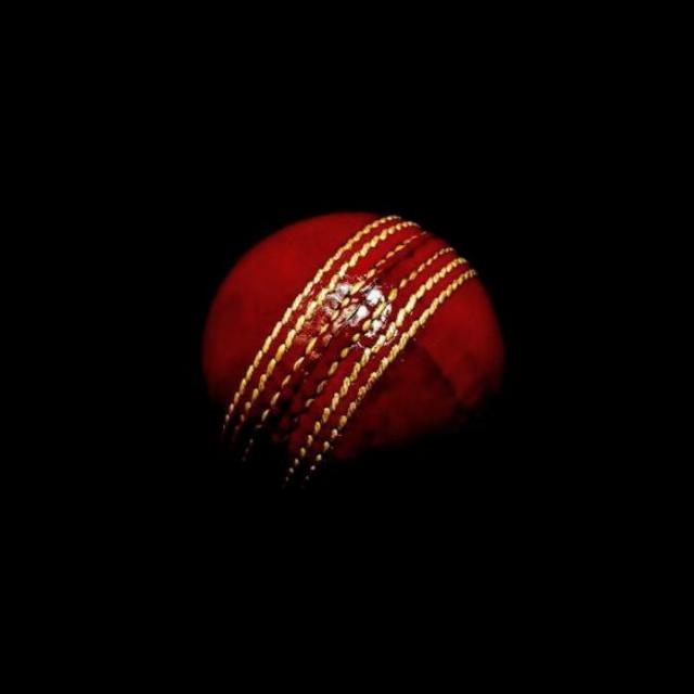 Cricket Lovers (Only) ❤️?