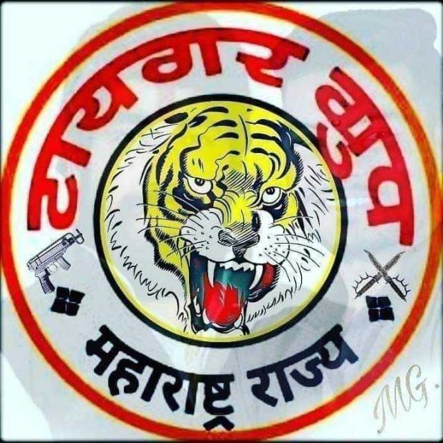 TIGER GROUP