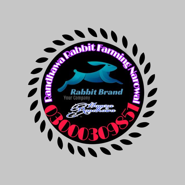 Randhawa rabbit Farming