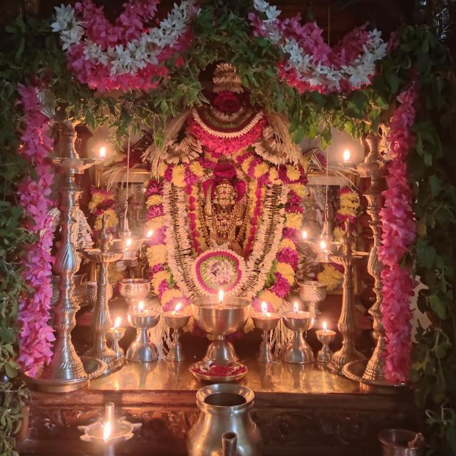 DIVINE REMEDIES Whatsapp group