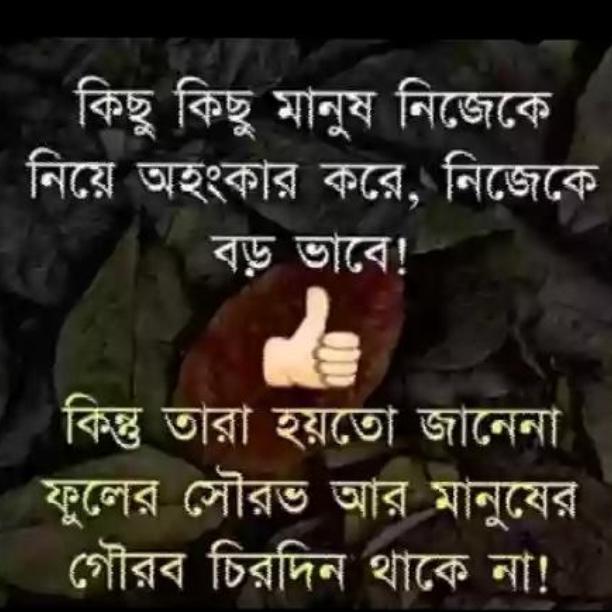 All Online service