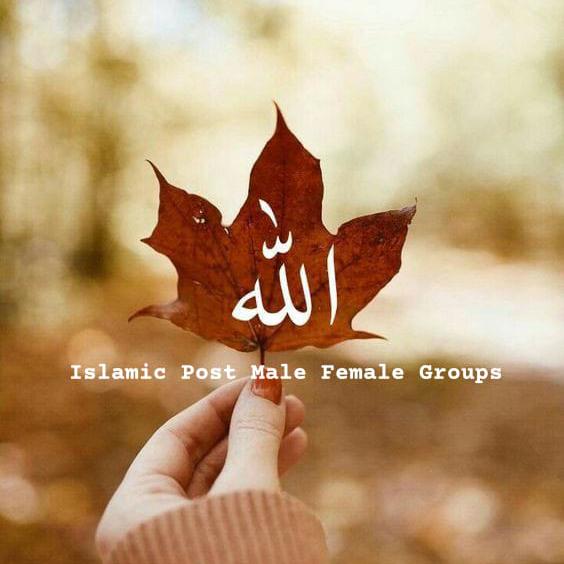 Knowledge About islam
