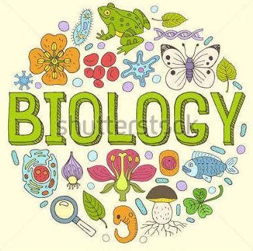 ?Biology Study Group?