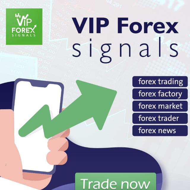 FOREX VIP SINGLANS 