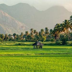 Palakkad job vacancy