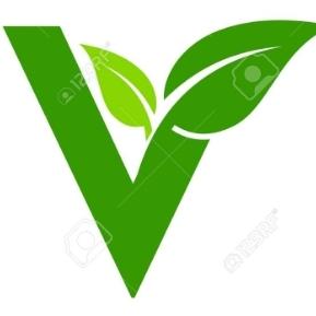 Vasava Production Pvt.Ltd