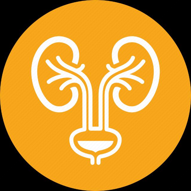 Urology Whatsapp group