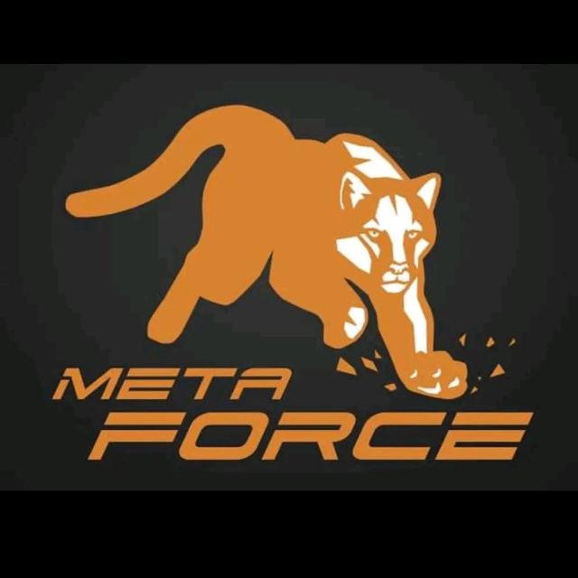 ? ? Meta-force.space ??