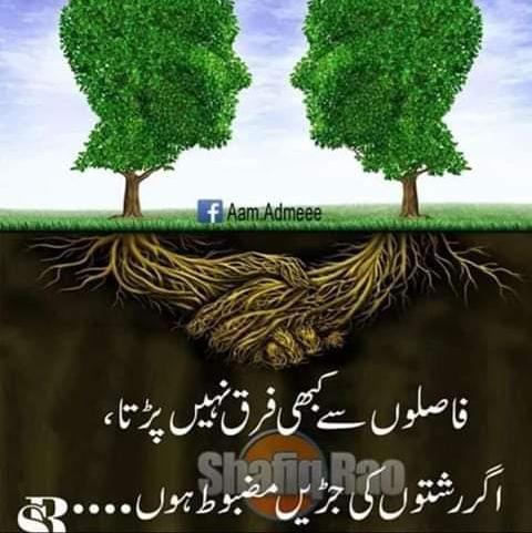 محبت زندگی ہے❤