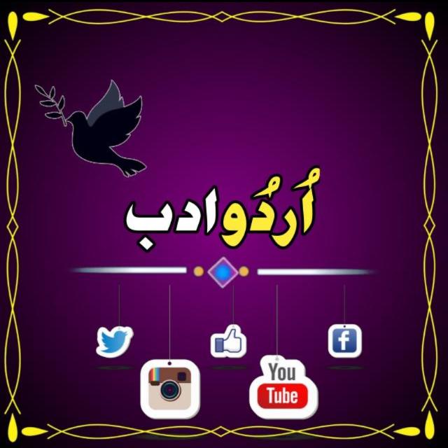 ? اُردو ادب ?️?️