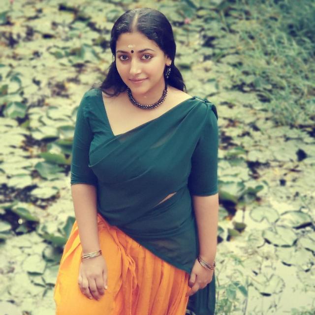 `പടകുതിര??´