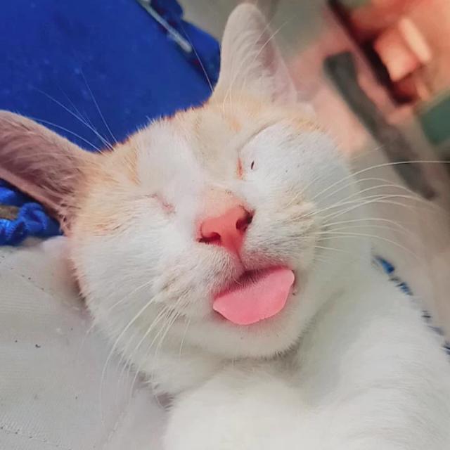 Best friend ?️