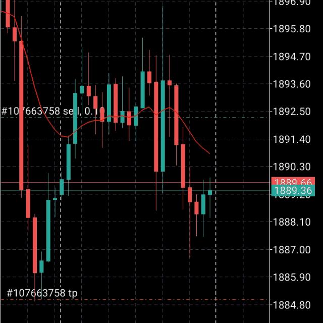 VIP FOREX GOLD SIGNAL 