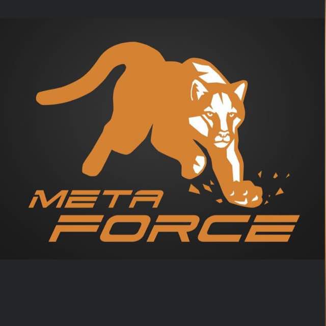FORSAGE/METAFORCE ??
