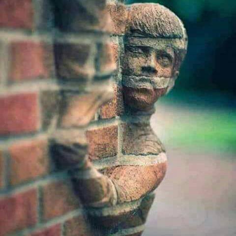 ASHISH BHAI ????