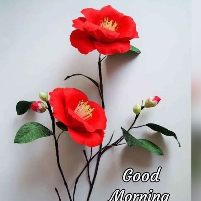 *?ये 