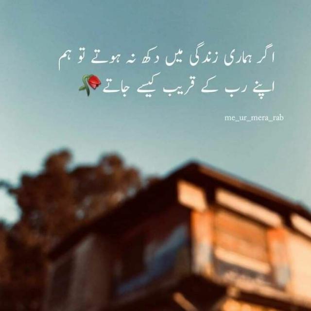 زندگی کے انمول رنگ????