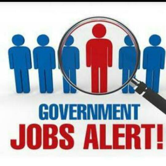 Goverment job (5)??✅