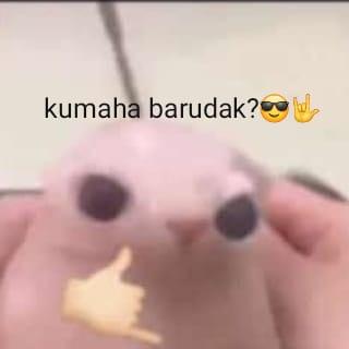 Admin keren member Jamed??