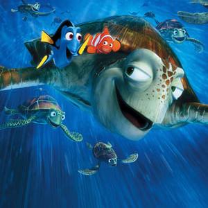 Finding Nemo Whatsapp group
