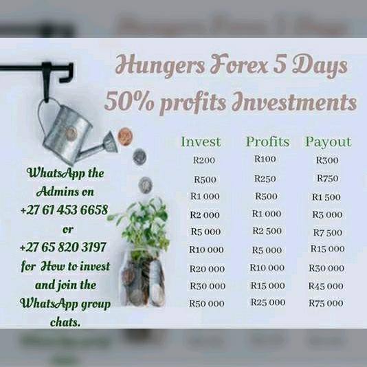 ?? Hungersinvestments.com