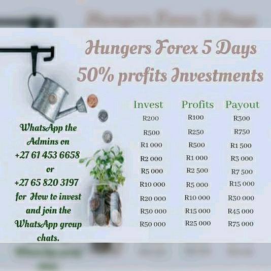 ??Hungersinvestments.com