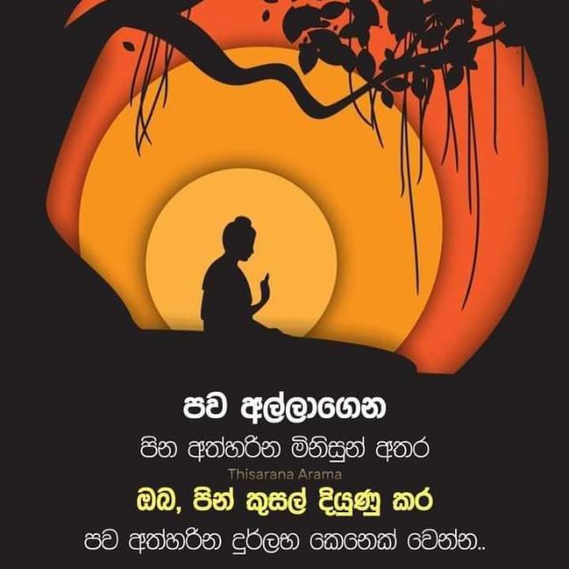 Education 2023 may o/l