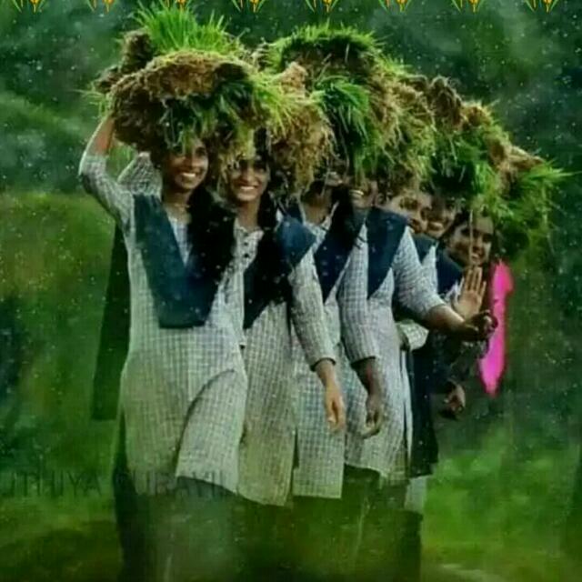 ?தமிழ் நண்பர்கள்?