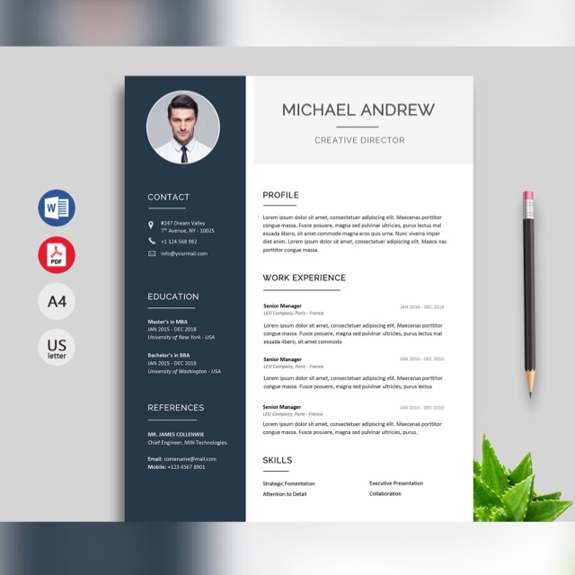 CV disign & Photo edit low price