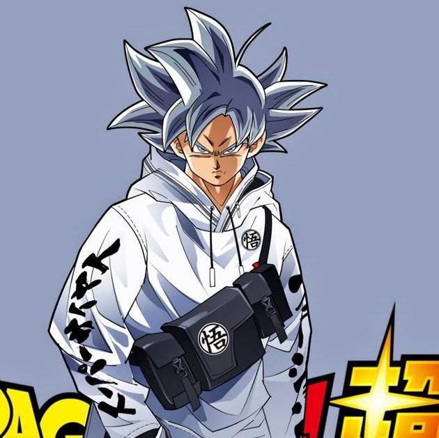 Dragon ball  stuffs