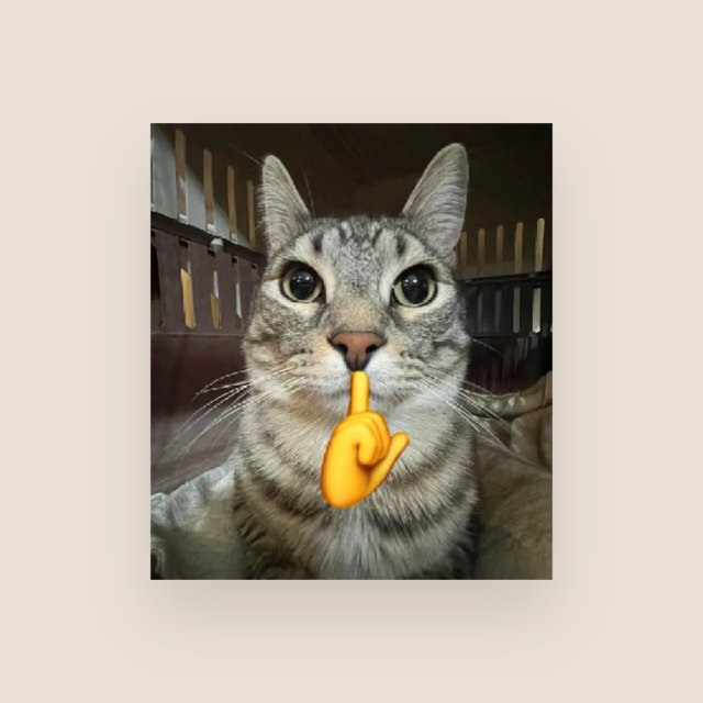 FREE PREDIK Whatsapp group