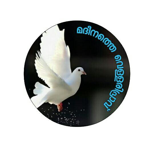 ?മദീനത്തെ?വെള്ളരിപ്രാവ്?