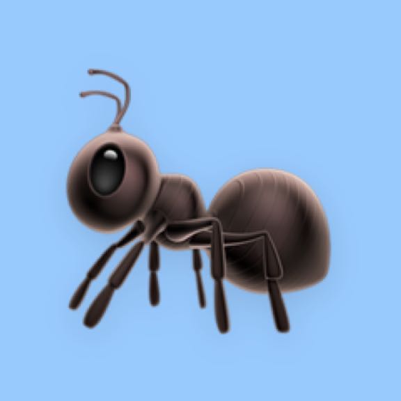 කුඹියා ??