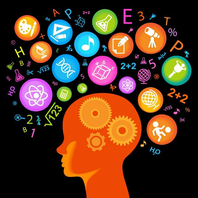 IQstudyEducatioN?
