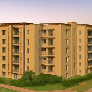 Kushti group