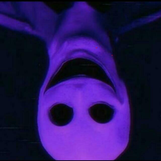 DarkWEB?☠️?GoreVDS