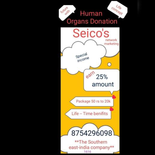Seico -network 11 company