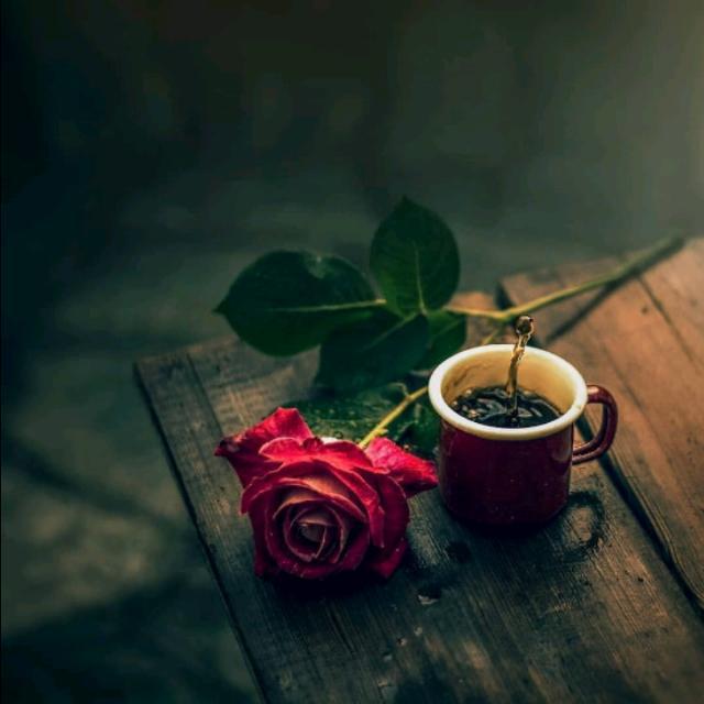 ꧁乡⃟නි⃟ස⃟දැ⃟ස්   ⃝ලෝ⃝ක⃝ය⃝乡꧂